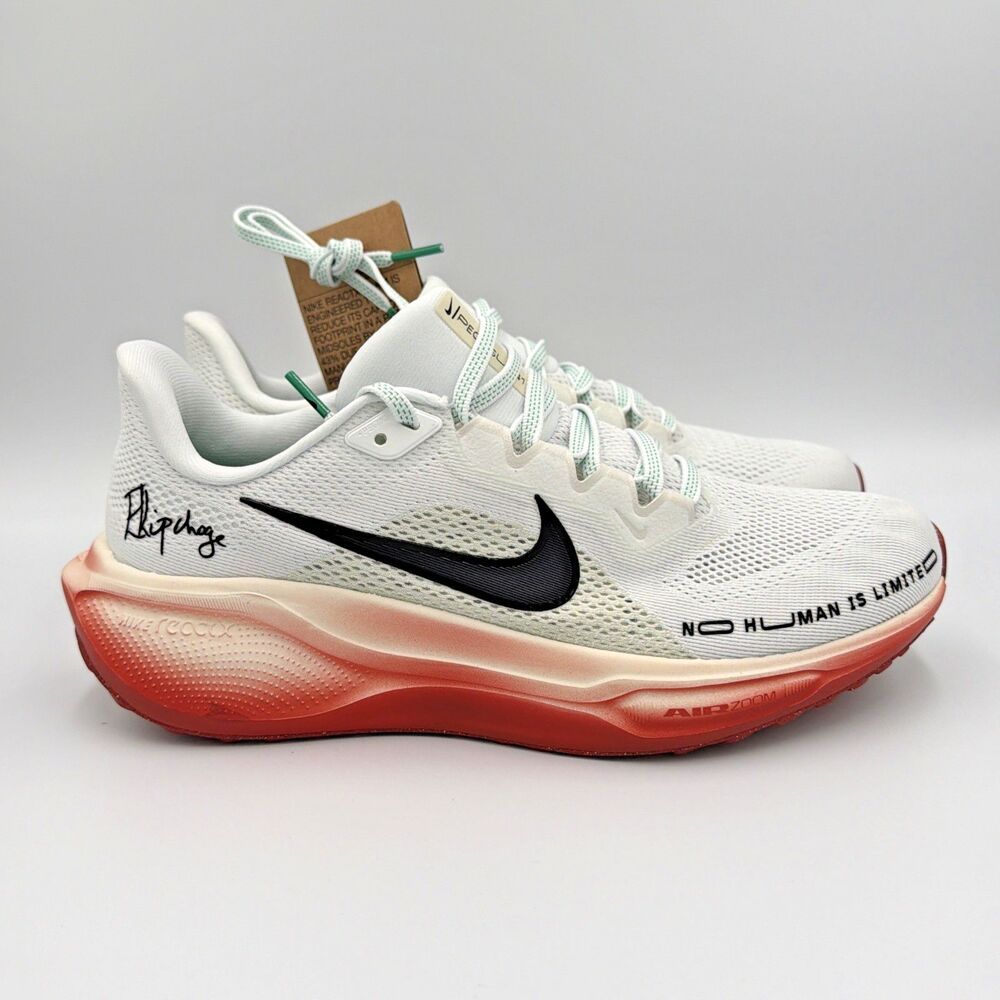 Nike Air Zoom Pegasus 41 Eliud Kipchoge White Shoes HJ7037-100 Mens Sz 7 NEW